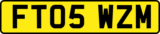 FT05WZM