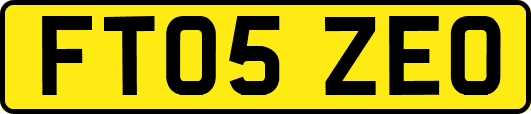 FT05ZEO