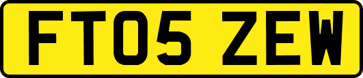 FT05ZEW