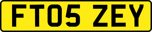 FT05ZEY