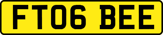 FT06BEE