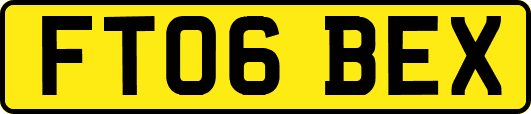 FT06BEX