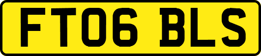 FT06BLS