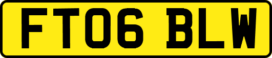 FT06BLW