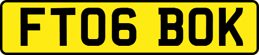 FT06BOK