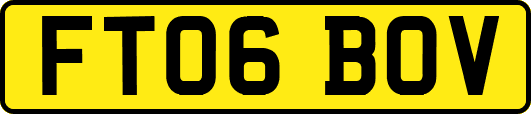 FT06BOV