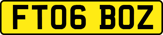 FT06BOZ
