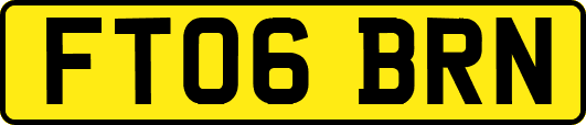 FT06BRN