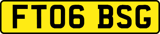 FT06BSG