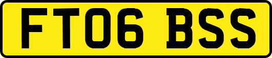 FT06BSS