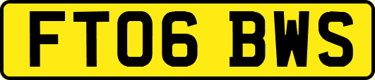 FT06BWS