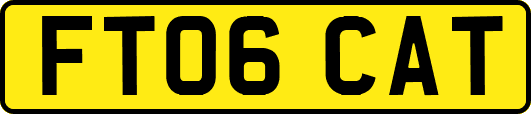 FT06CAT