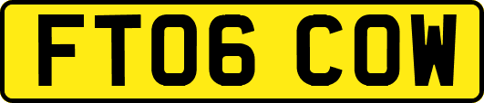 FT06COW