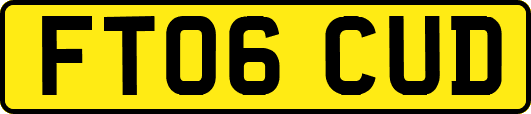FT06CUD
