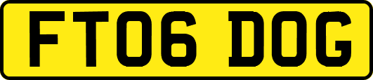 FT06DOG
