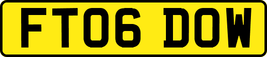 FT06DOW