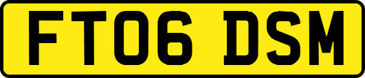 FT06DSM