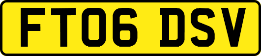 FT06DSV