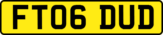 FT06DUD