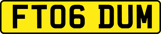 FT06DUM
