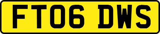 FT06DWS