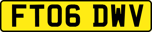 FT06DWV