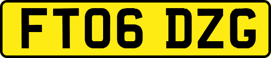 FT06DZG