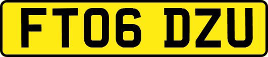FT06DZU
