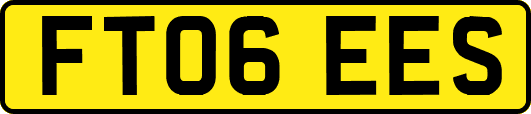 FT06EES