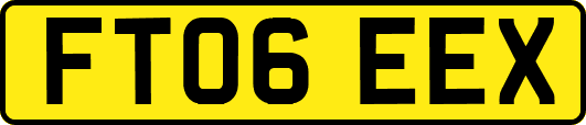 FT06EEX