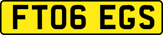 FT06EGS