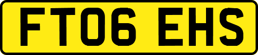 FT06EHS