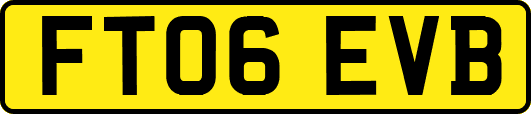 FT06EVB