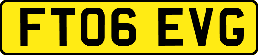 FT06EVG