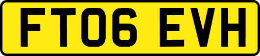 FT06EVH