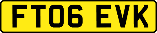 FT06EVK