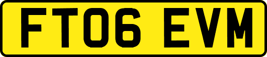 FT06EVM