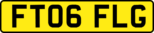 FT06FLG