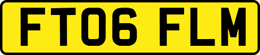 FT06FLM