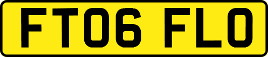 FT06FLO