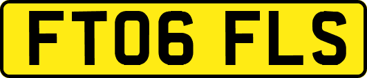 FT06FLS