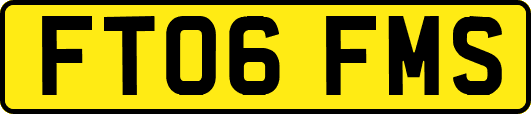 FT06FMS