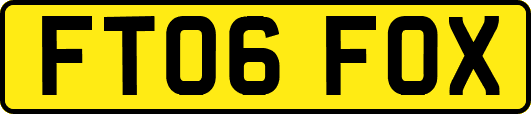 FT06FOX