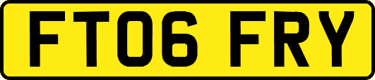 FT06FRY