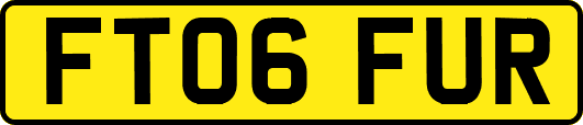 FT06FUR