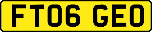 FT06GEO