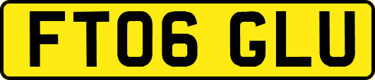 FT06GLU