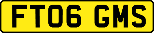 FT06GMS