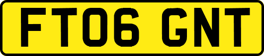 FT06GNT
