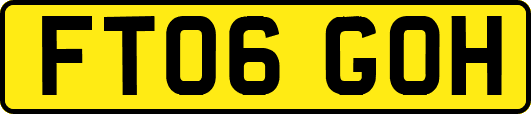 FT06GOH